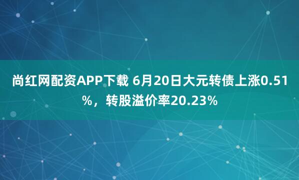 尚红网配资APP下载 6月20日大元转债上涨0.51%，转股溢价率20.23%
