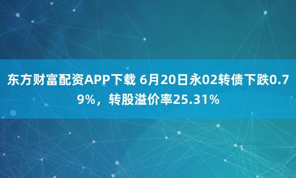 东方财富配资APP下载 6月20日永02转债下跌0.79%，转股溢价率25.31%