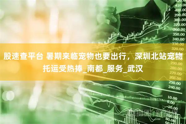 股速查平台 暑期来临宠物也要出行,深圳北站宠物托运受热捧_南都_服务_武汉