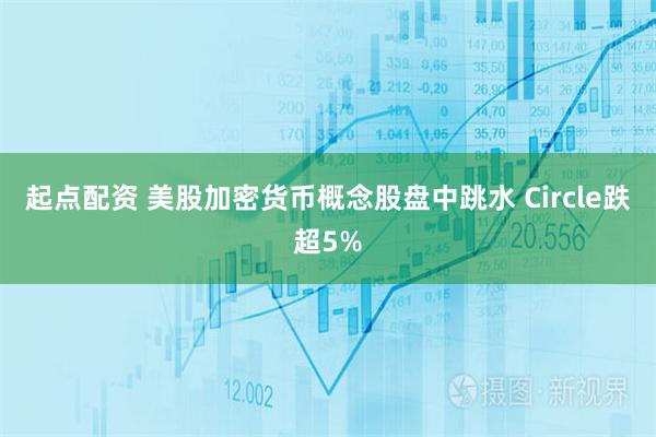 起点配资 美股加密货币概念股盘中跳水 Circle跌超5%