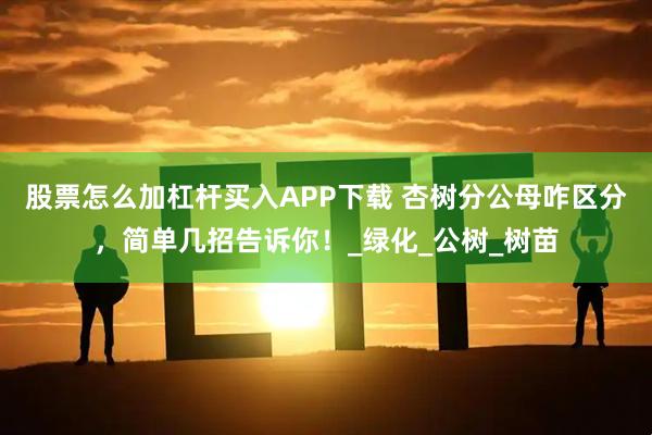 股票怎么加杠杆买入APP下载 杏树分公母咋区分,简单几招告诉你!_绿化_公树_树苗