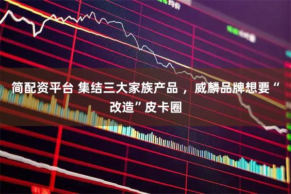 简配资平台 集结三大家族产品 ,威麟品牌想要“改造”皮卡圈